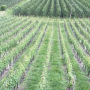 03_Triacca (4)